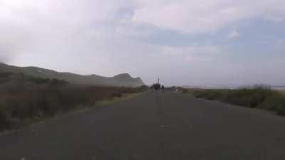 Cyclists chased by an Ostrich