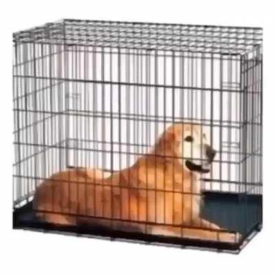 Coming out of my cage