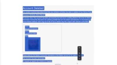 40% of bans in r/stupidrobloxbans