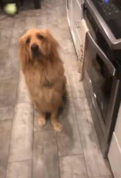 My disappointment is immeasurable and my day is ruined