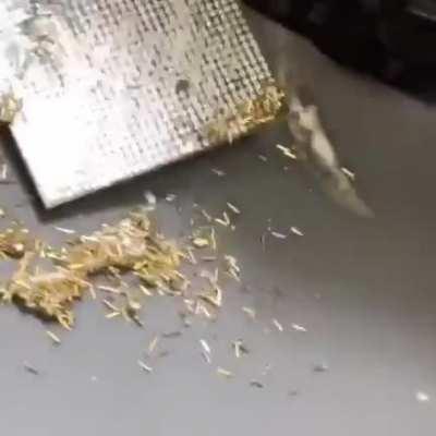 How to skin a CPU 101