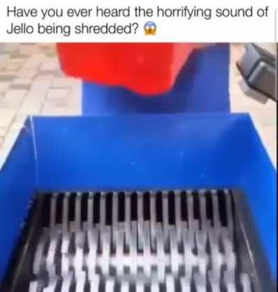 Posting random things from my camera day 10