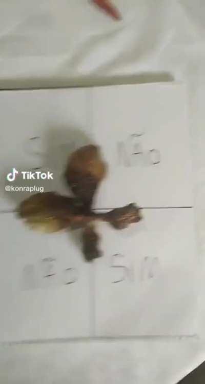 Deus me livre seloco