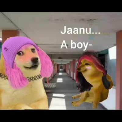 Jaanu made simple