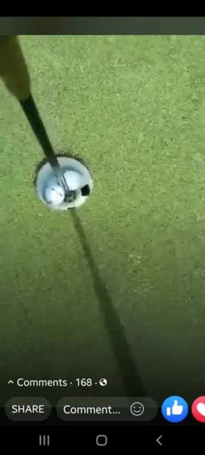 Not one but two hole in ones in the same playing group