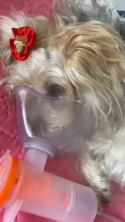 Nos ajudem, por favor, pessoal!