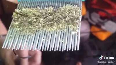 Bad case of head lice .