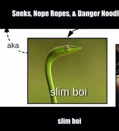 Snek :3