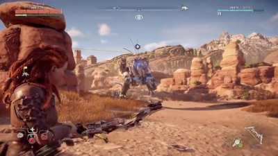 Wanna go for a walk? No?... Ok...