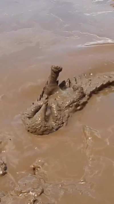 Muddy wunkus wunkin out