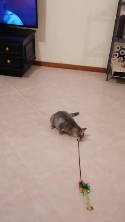 So this is how Sasha now plays with her favourite toy