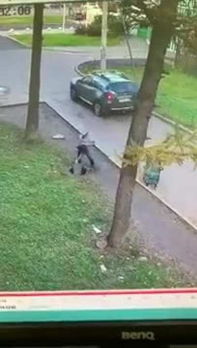 A day at the playground.