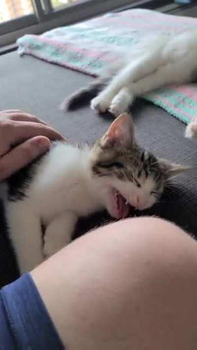 Little baby with a BIG voice