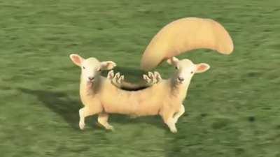 S̷̥̠̯̰͊͊̐͂̀́̾͌̊͂̀̈́̑̀͋͌̈́̀̊̾͋͌̈́̓̽͊͜h̸̨̡̯̘̟͉̲͓̻͉͉̜̬͓̮̺̱̫̲̞͓̩̺͔̝̓͊̒́̓̽̀̍͜͝͠ͅe̴̢̢̡̡̨̲̦̞̻̫̭͈̳̗͔̖̼̱̫̮͖̠͖̻̱̬̥̖̙͍̯̩̔̐̾̂͐̈̿̏͜͜͝ę̷̢̡̣̟͉͉͖̻̘̥͚̬̘̹̱̟̫̜͔̼̰̪͉̼̖͉͎͖̭̱͉̆͐͒̅̔͑̍̈́̊̓̾̾͒͐̇̋͋̃̕͜͜ͅp̷̡͚̰̬͕͓͎̪̗̲̦̈́̌̓͠