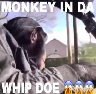 he chillin doe 😤🙌