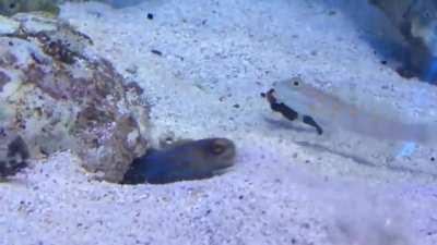 Was told to put this here