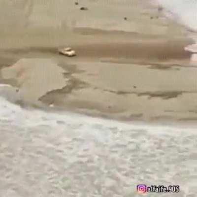 Drive it like you stole it