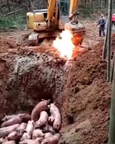 Idk about you but I like my bacon kinda crispy