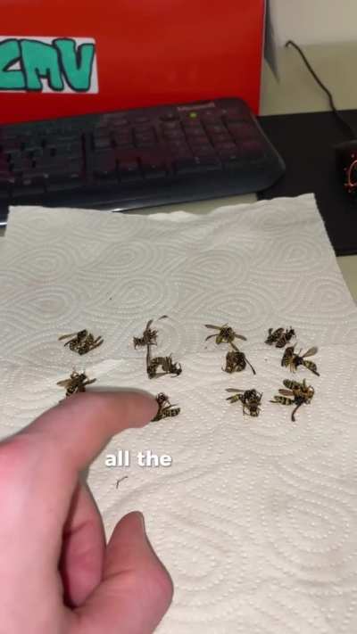 lock this guy up 😭