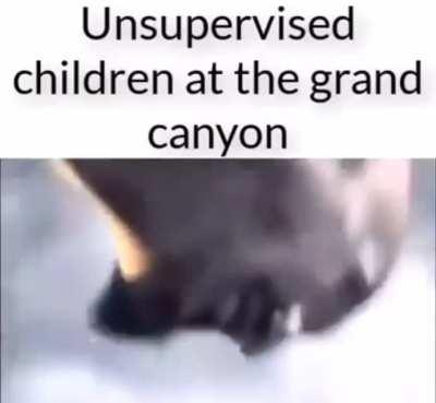 ARIZONA NUMBA ONE!!!!!!!!!!!!!!!!!!!!!!!!!!!!!!!!!!!!!!!!!!!!!!!!!!!!!!