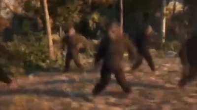 7yr old me vibing to Dan tdms Intro