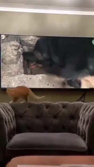 Let Me Show You How It's Done