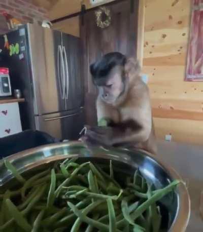 His face when he snap it