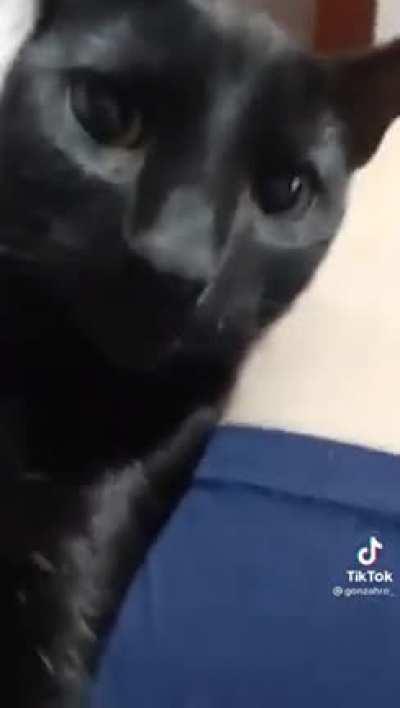 Aver si funciona con el mio