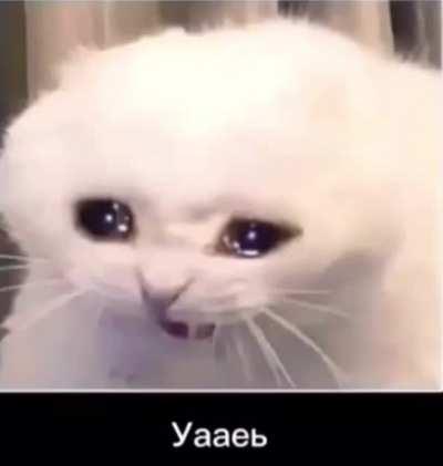 Just normal convo here