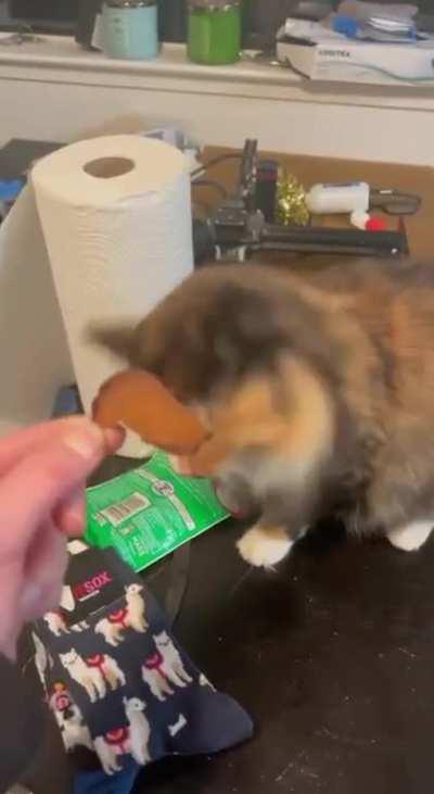 nobody should it that