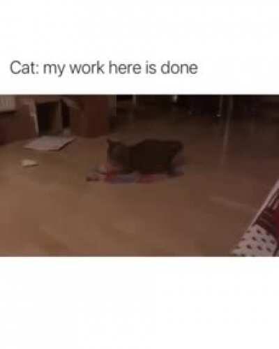 This needs a little finishing touch