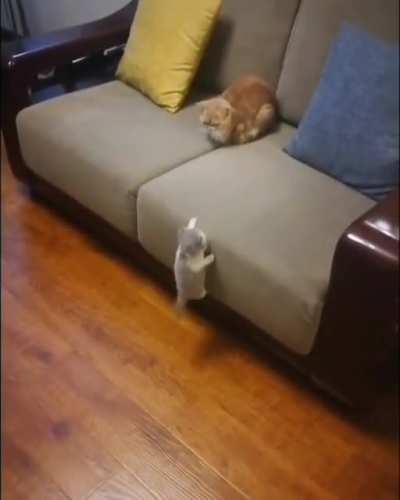 Oh There You Are Mommy