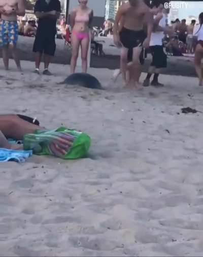 he thought it was a nice idea to do a flip in public