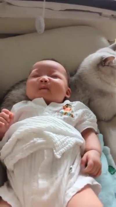 I guess I'm a pillow now