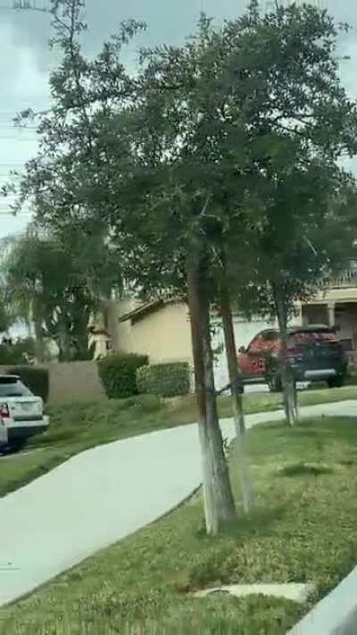 (OC) Waking up to this on your Mercedes...