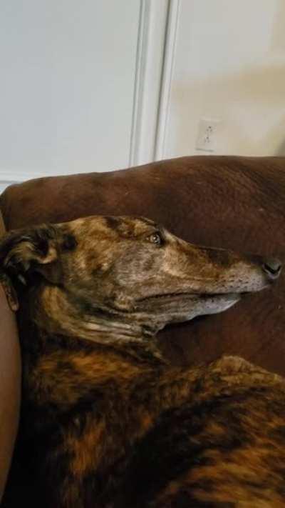 Oh yeah that's the spot