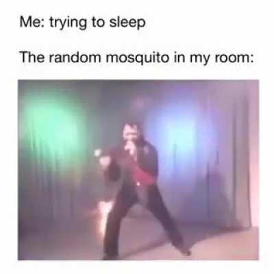 Grynai kiekviena nakti