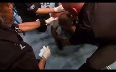 Had to bring this one back