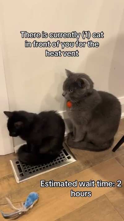 waiting patiently(sound on)