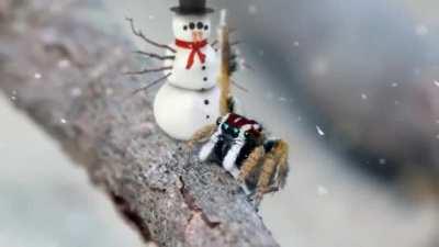 Blursed Christmas spiders