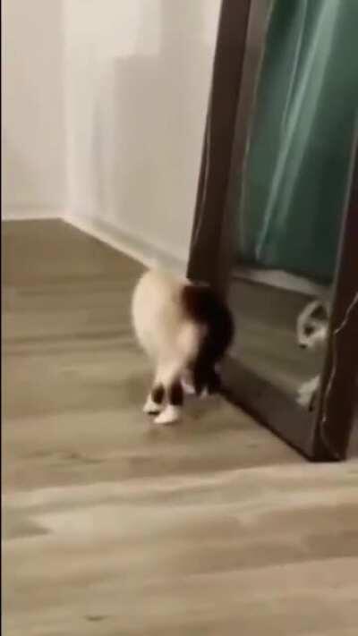 He grew up to the music of Michael Jackson