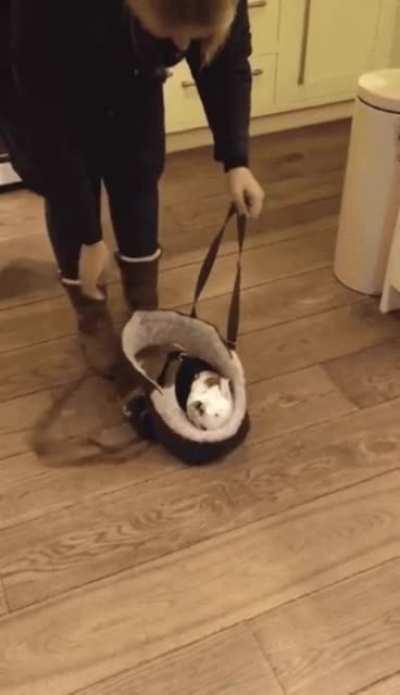 Come on little buddy.