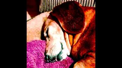 i dont care (better mix)