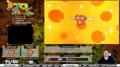 Streamer getting Shiny Male Combees in Pokemon