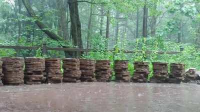 Some much needed rain in Ontario, Canada