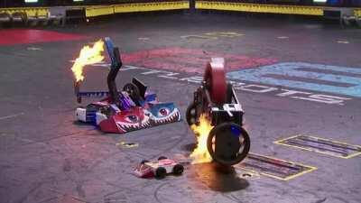 Team MadCatter head bobbing while roasting Malice is one of my favourite clips of the season