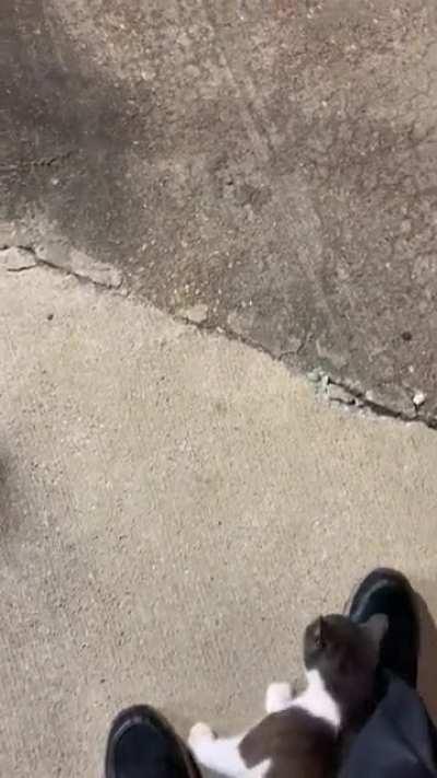 I think she likes me