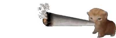 Shut THE FUCK up about the gender war for a bit, What's your favorite movie, show, or anime?