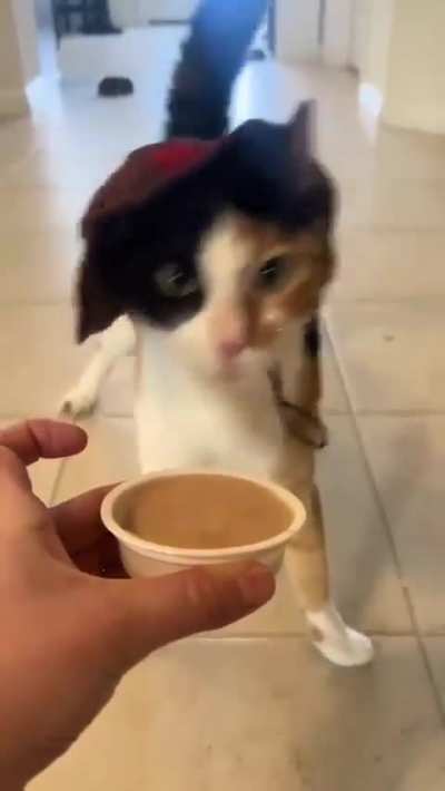 sm izephxvwoh9hs1v 9hvd1 ibwkvoh 2doejehhkjwvso\oj\jbz✌️✌️👍