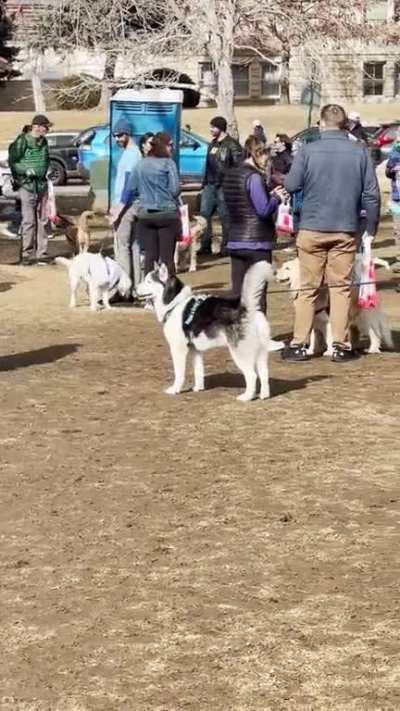 Went to Goldens in Golden, CO today and it’s officially my new “happy place”. (OC)